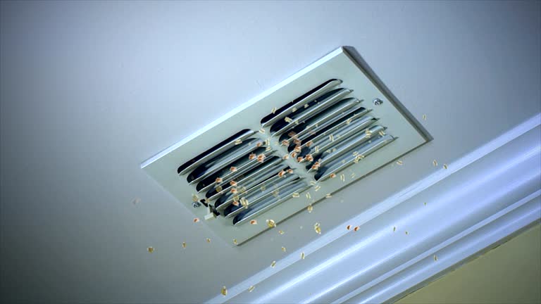 Best Air Duct Cleaning Near Me  in Fulton, KY